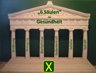 "6 Sulen" der Gesundheit