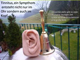 Tinnitus im Kopf