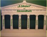 "6 Sulen" der Gesundheit